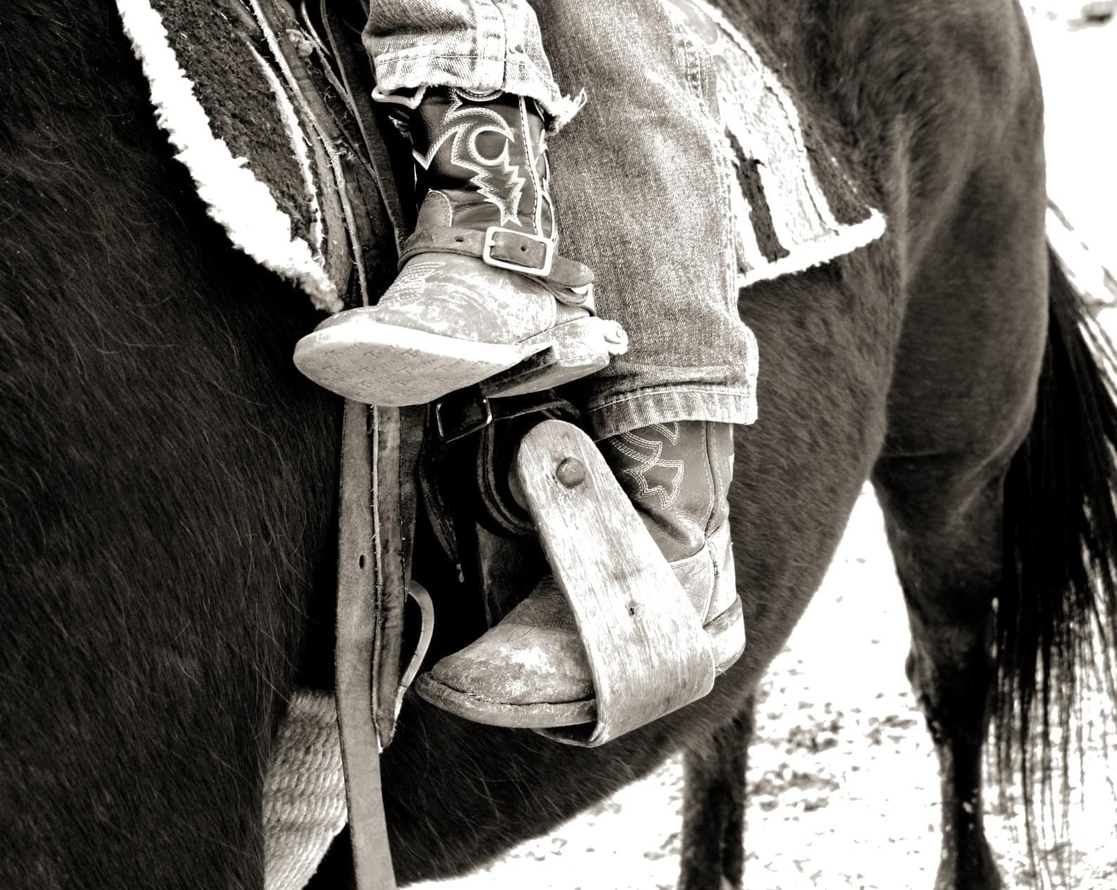 Cowboys